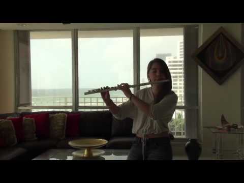 See You Again - Wiz Khalifa Ft. Charlie Puth Flute Cover