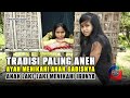 7 Tujuh Fakta Unik Suku Polahi Tidak Makan Nasi Hingga Perkawinan Sedarah