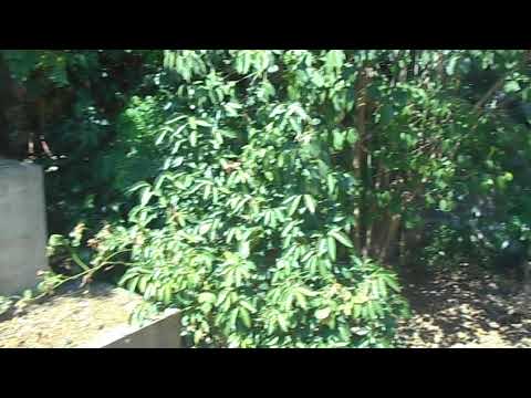 Degrado  Passo Corese monumento garibaldi