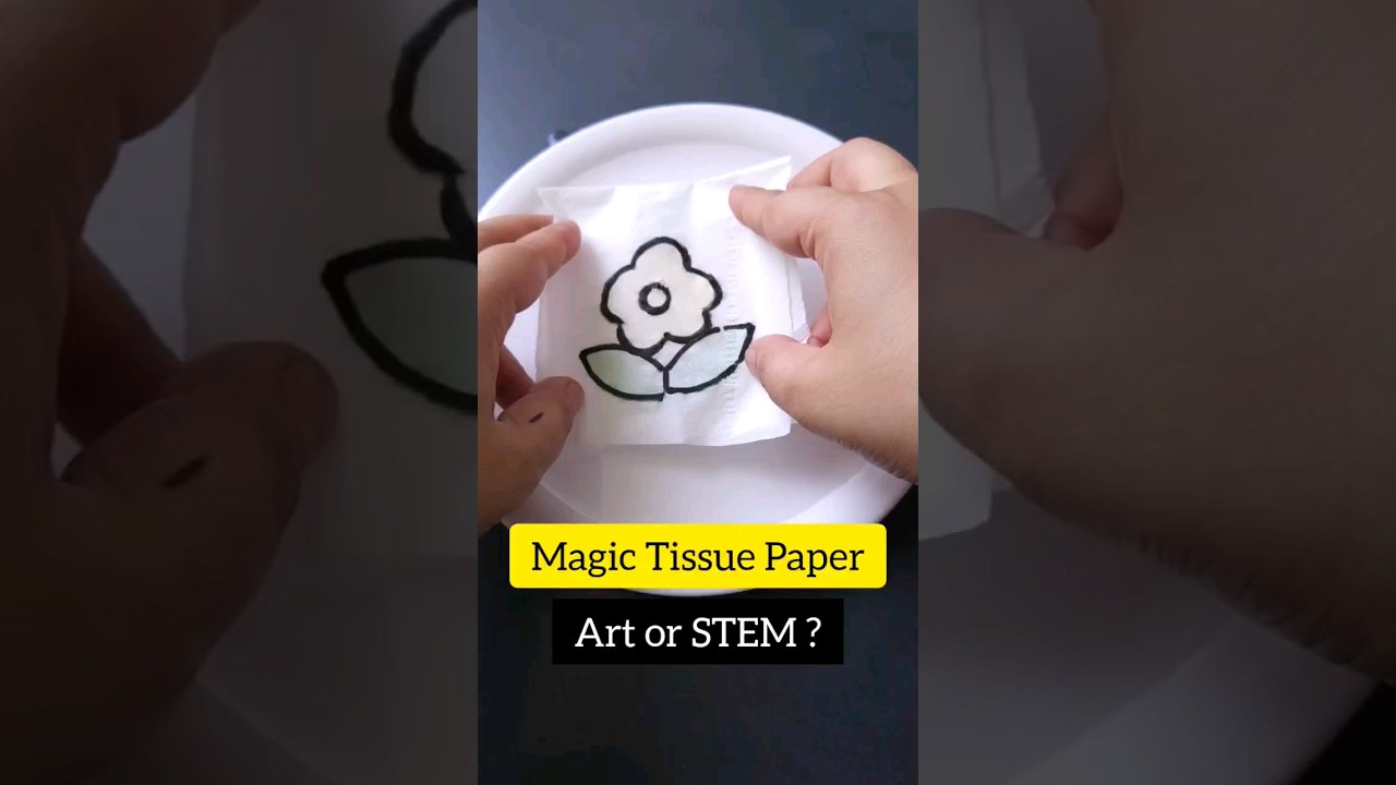 Magic Tissue Paper/ STEM Activity For Kids/ Preschoolers Activity