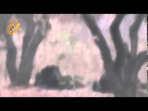 رصد قتلى قوات النظام في بلدة الشيخ مسكين في ريف درعا من قبل لواء مغاوير سهل حوران