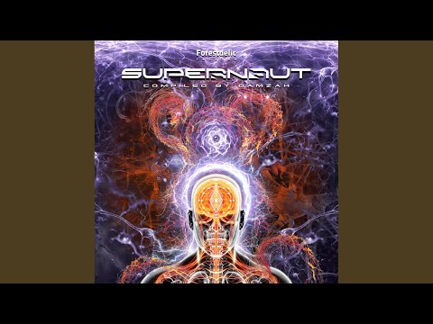 Operation Phoenix (Original Mix)