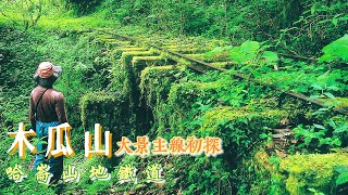 木瓜山Day2大景主線初探#哈崙山地鐵道#哈崙工作站#大景線#臺灣林業#五分車