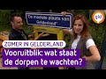 Zomer in Gelderland 3 augustus 2021 - Vooruitblik