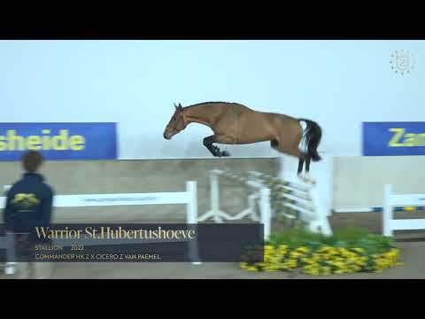 broer WARRIOR ST. HUBERTUSHOEVE