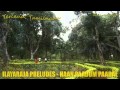 ILAYARAJA PRELUDES NAAN PAADUM PAADAL