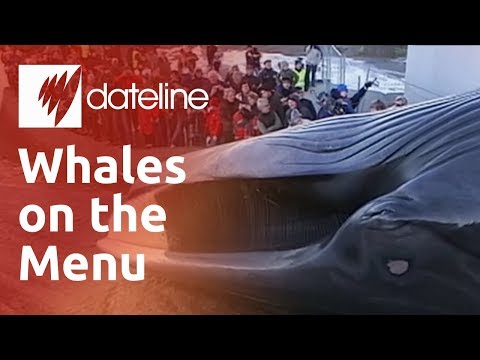 商業捕鯨に対するアイスランドの立場が分かれている