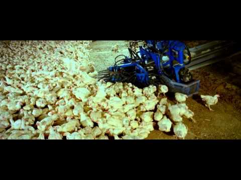 download lagu mp3 mp4 Samsara 2011, download lagu Samsara 2011 gratis, unduh video klip Samsara 2011