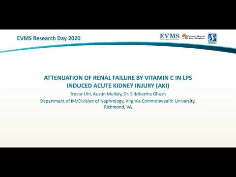 Thumbnail image of video presentation for Attenuation of renal failure by Vitamin C in LPS induced acute kidney injury (AKI)