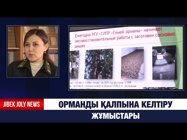Орманды қалпына келтіру – үздіксіз әрі ұзақ мерзімді жұмыс