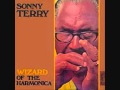 Steve Forbert and Sonny Terry - 'No Use running from the Blues' (Steve Forbert)