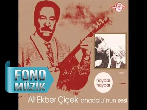Ali Ekber Çiçek - Unutursun (Official Audio)
