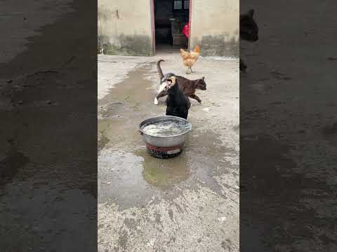 18 أبريل 2026🌊