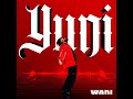 Yuni Wani Visualiser
