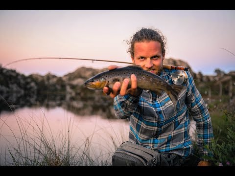 download lagu mp3 mp4 Mosquito Vol 1, download mp3 Mosquito Vol 1 free download mp3, download mp3 Mosquito Vol 1