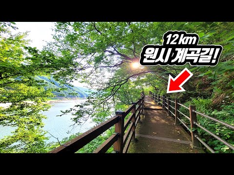 🚌 60년만에 열린 원시 계곡! 걷기 쉬운 비경 속 트레킹 코스 | 📸 당일치기 대중교통 여행코스