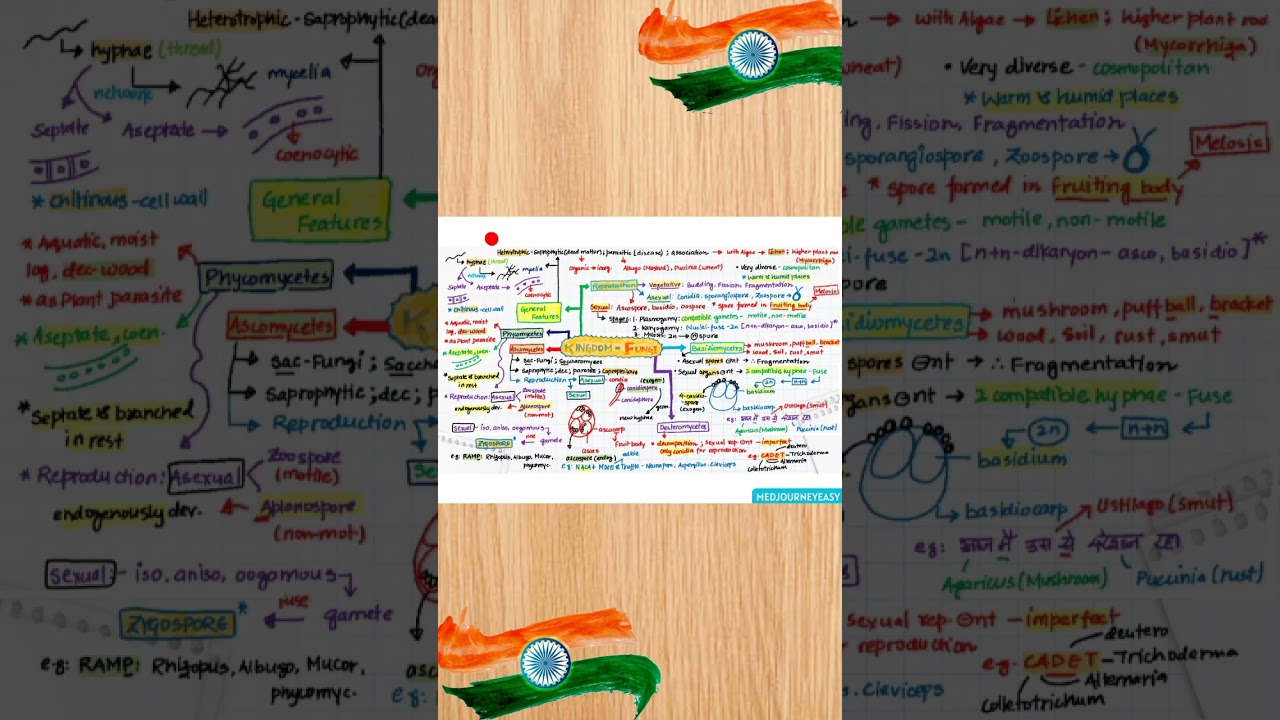 Independence day special mindmaps|#trending #viral #shorts #neet2024 #neet2025 #biology