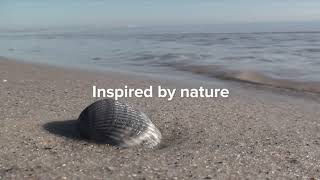 Explore Trex Composite Decking in Clam Shell at Lowe's