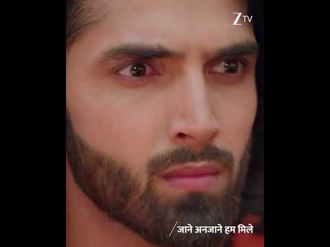 Jaane Anjaane Hum Mile | Ep 425 | Zee TV HD