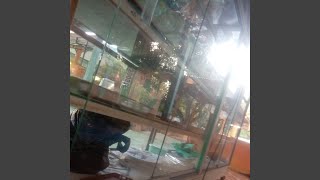 Download lagu Ayang mp3