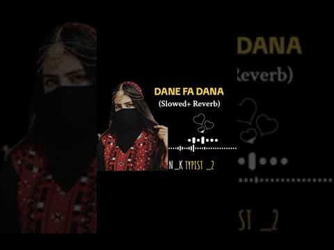 Dane pe Dana (slowed+reverb) new song (official Music video)