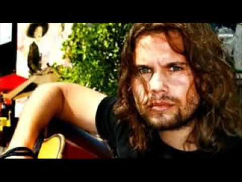 Bosquito - Vultur Hoinar