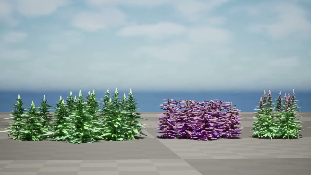 British Hemp Flowers 3D Model