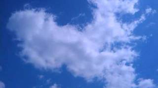 You Don't Have To Run - Concord Dawn