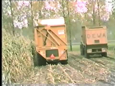 Loonw. Van De Voorde - Wippelgem