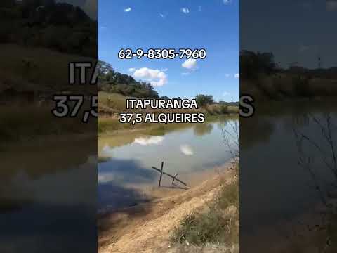 🌱62-9-8305-7960 - FAZENDA 37,5 ALQUEIRES ITAPURANGA-GO