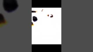 Download lagu Obit Lucu Banget Woi 😍😍😍 mp3 Download lagu Obit Lucu Banget Woi 😍😍😍 mp3