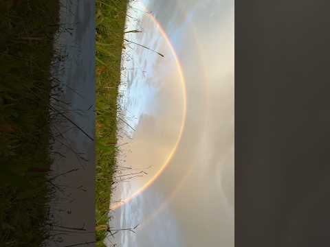 Hoyo de los pájaros - mogotes Santander