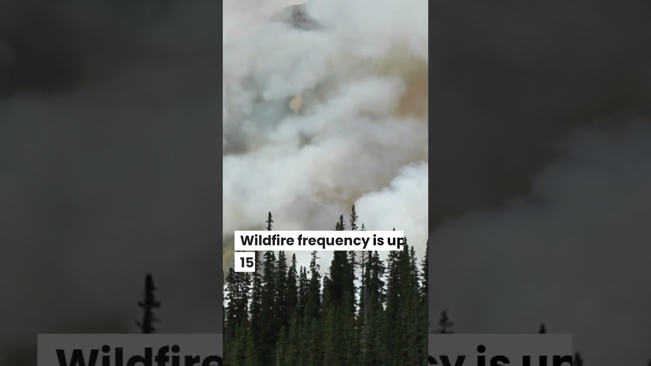 Here's What the Canadian Wildfires & ESG Investing Have in Common