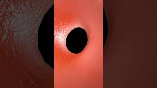 Travel Pathway: Aorta → Left Ventricle → Right Atrium → Right Ventricle  → Aorta ♻️🩺🫀