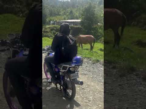 🌿🏔️ ¡ACOMPÁÑAME A LLEGAR A MAHOMA DERRUMBADO, EN SAN JOSÉ DE OCOA! 🇩🇴