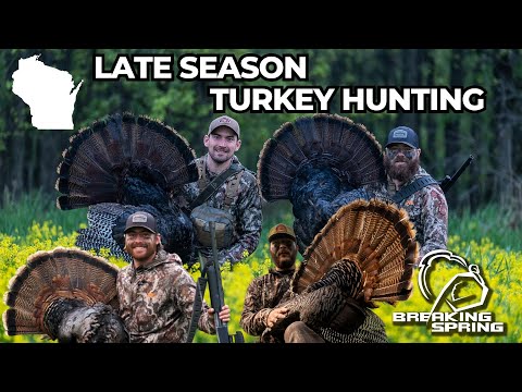 Late Season Turkey Hunting