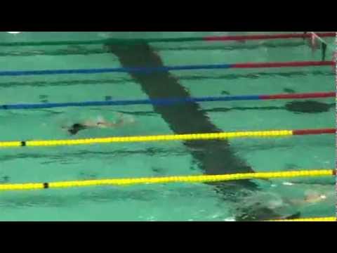 100 Butterfly Olivia Sbaraglia