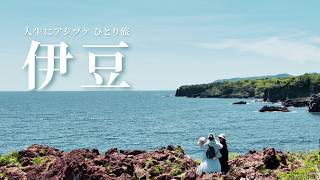 【ひとり旅】伊豆｜海を望む温泉宿とぼくなつの舞台を巡る1泊2日｜富戸港｜城ヶ崎海岸｜河津温泉郷 海遊亭｜聖地巡礼｜ぼくのなつやすみ