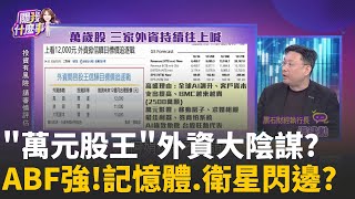 "萬元股王"快來了?! 台股狂熱..外資繼續喊..真的? 萬元股王有底氣?! AI能源題材續燒..引發社會亂象?│陳斐娟 主持 │20260204 │關我什麼事