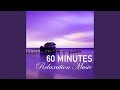 60 Minutes of Relaxation Music - 1 Hour Song to Fall Asleep Fast, Wellness Sleep Track