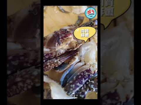 🌊 Vendyst #自家船出海捕捞野生花蟹❗ 🦀