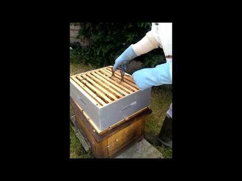 comment construire ruche dadant