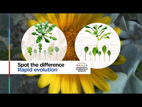 Spot the difference, rapid evolution: Professor Angela Moles