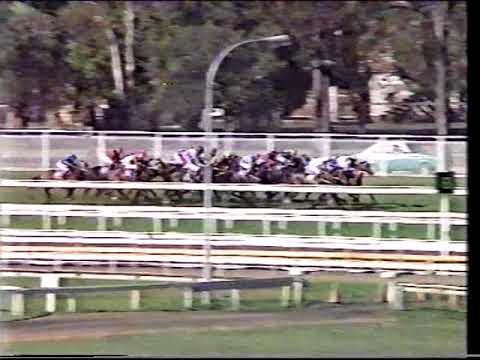 1991 QLD Derby