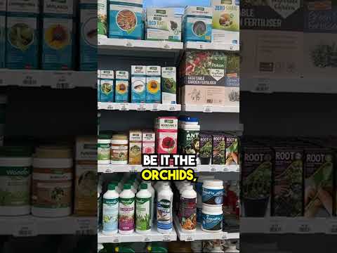 Prevention and Pest Control