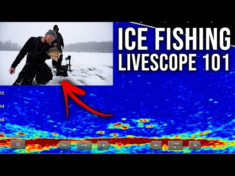 Using Garmin Livescope to Break Down NEW Water! (FIND Fish Like a PRO!)