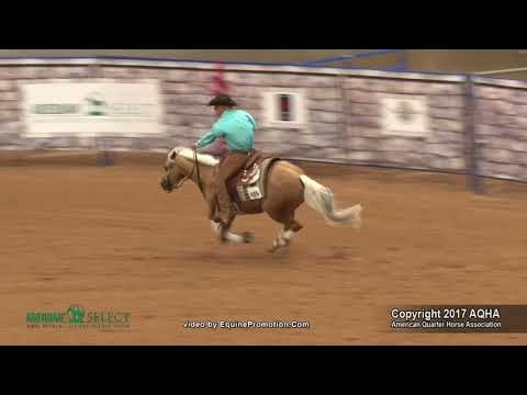 2017 AQHA Select Reining World Champion