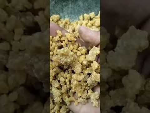 Guggul kundru, packaging size: 50 kg