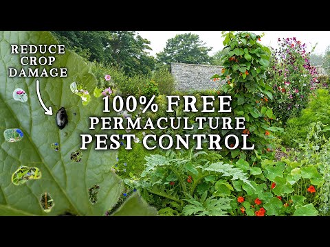 , title : 'The 100% Natural FREE Pest Control Method for Your Vegetable Garden'