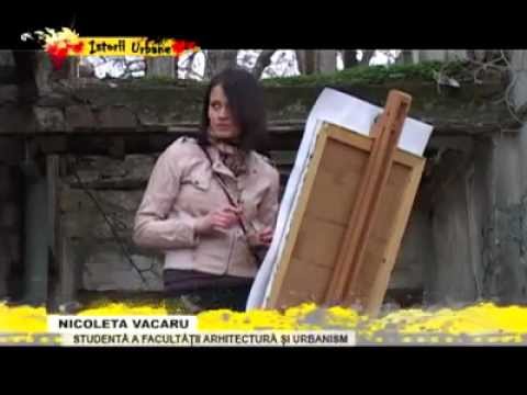 Nicoleta Vacaru-RUINELE IN ARTA
